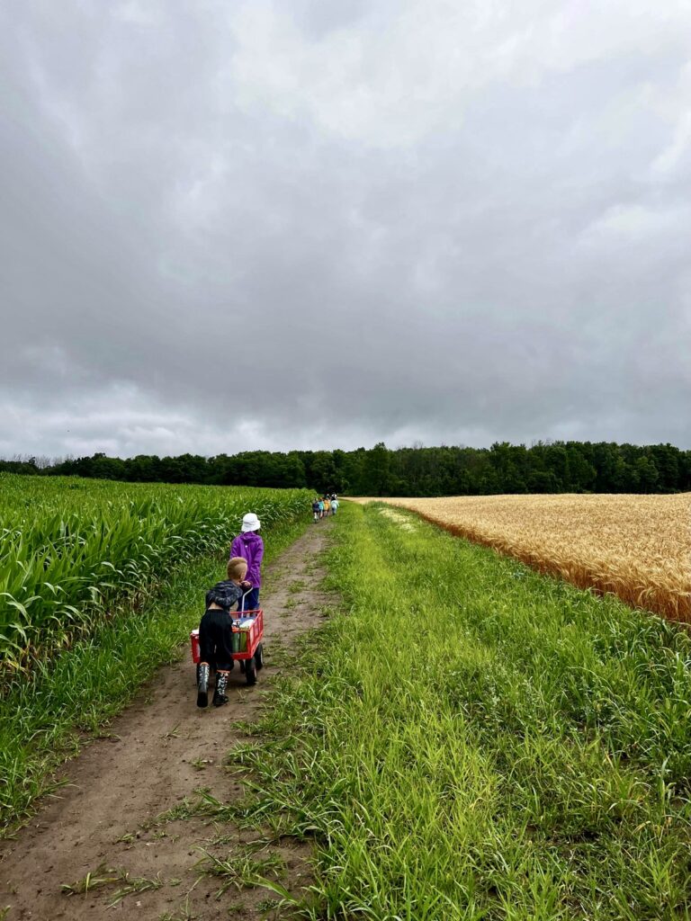 Heading to the Back Forest