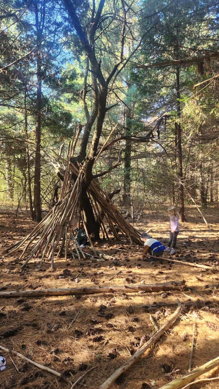 bf24db23cbbc29c4c379b56901702a84