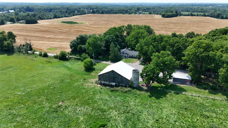 dji_fly_20250802_141744_0011_1754166082166_photo